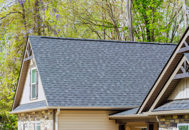 Best Skylight Installation and Repair  in Lone Tree, CO